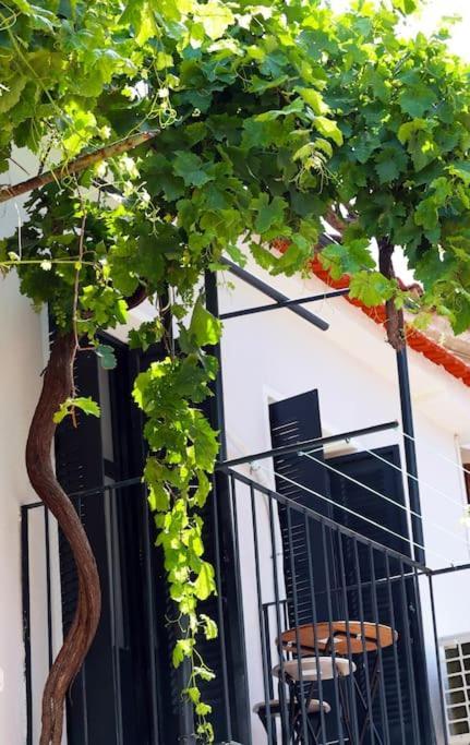 Vila Titinas' Plomari Exteriér fotografie