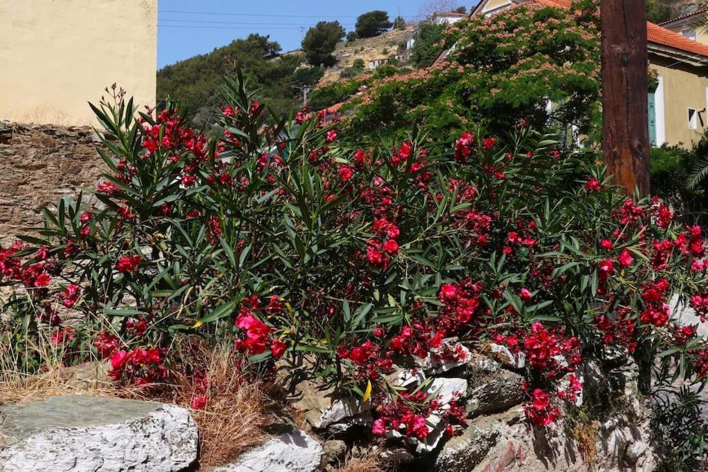Vila Titinas' Plomari Exteriér fotografie